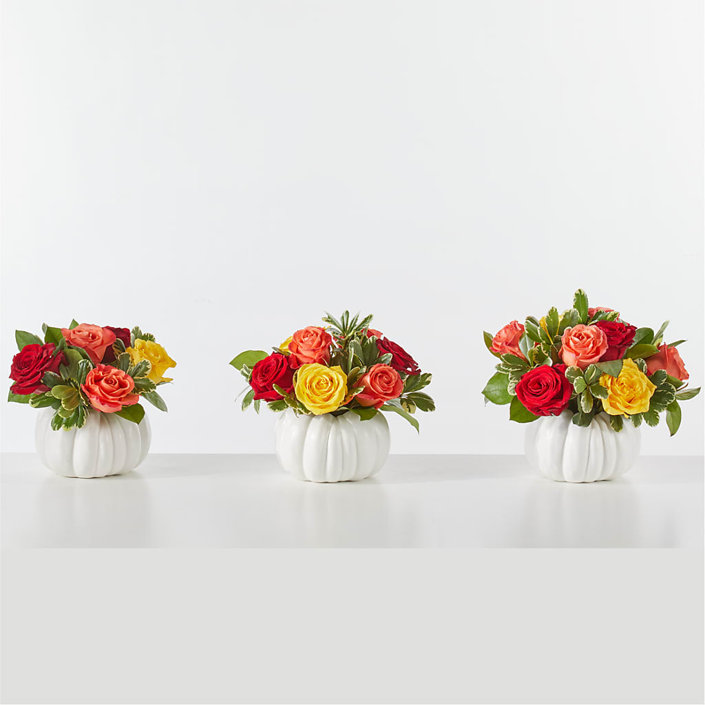 Gourd of Gratitude – Two Flower Girls, Skokie IL
