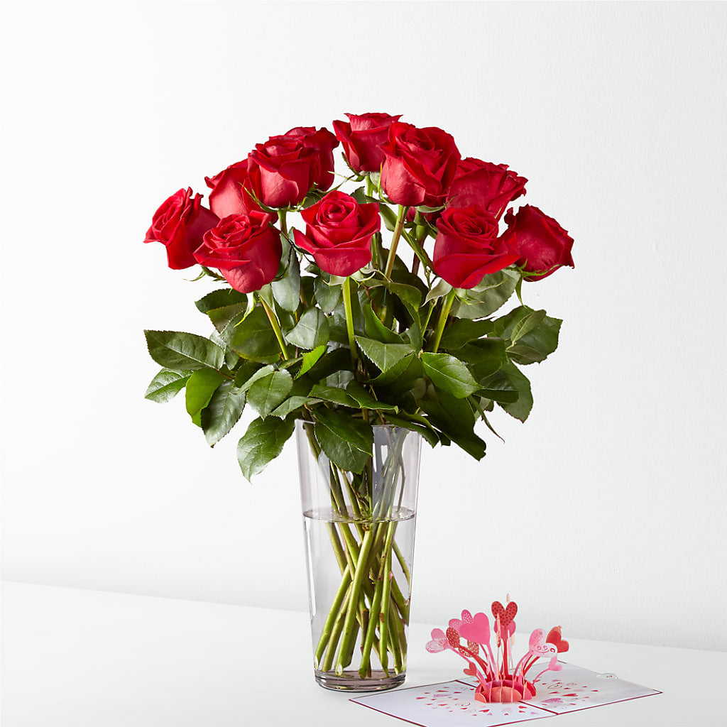 Long Stem Red Rose Bouquet & Lovepop® Pop-Up Card – Two Flower Girls, Skokie IL