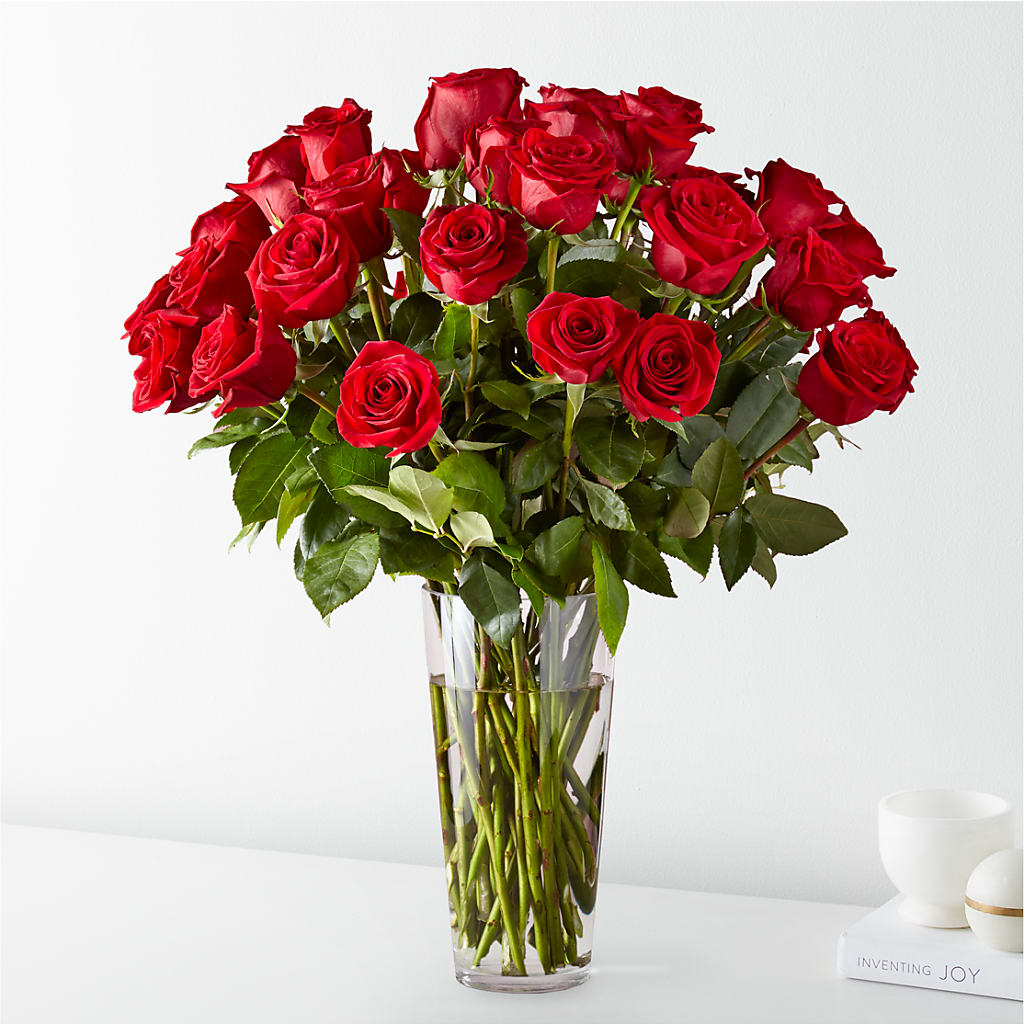 Long Stem Red Rose Bouquet – Two Flower Girls, Skokie IL