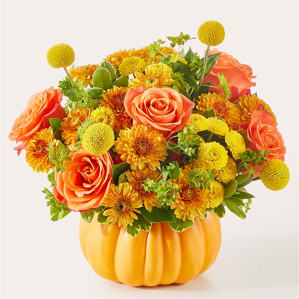 Gourdgeous Pumpkin – Two Flower Girls, Skokie IL