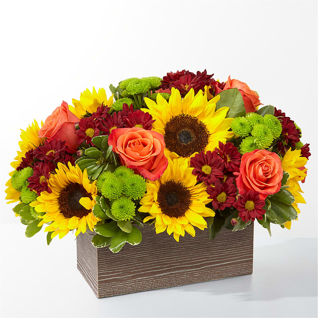 Happy Harvest Garden – Two Flower Girls, Skokie IL