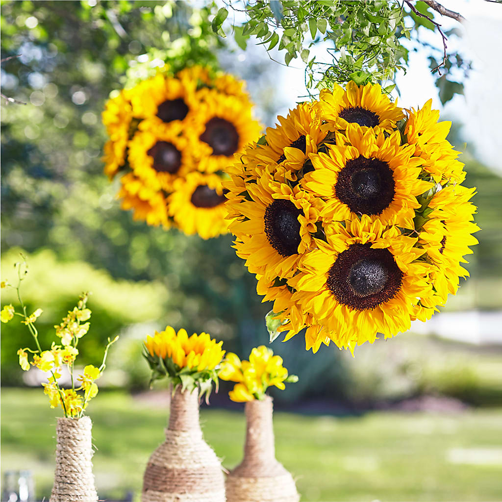 Sublime Garden Hanging Arrangement – Two Flower Girls, Skokie IL
