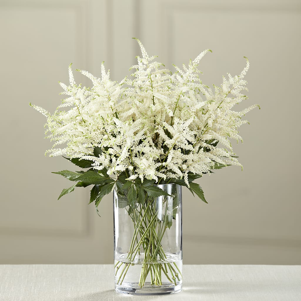 White Astilbe Bouquet – Two Flower Girls, Skokie IL