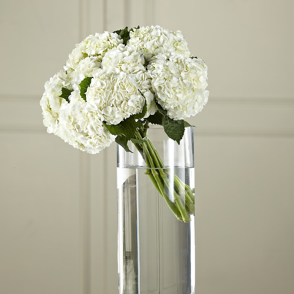 White Hydrangea Hand-Tied Bouquet – Two Flower Girls, Skokie IL