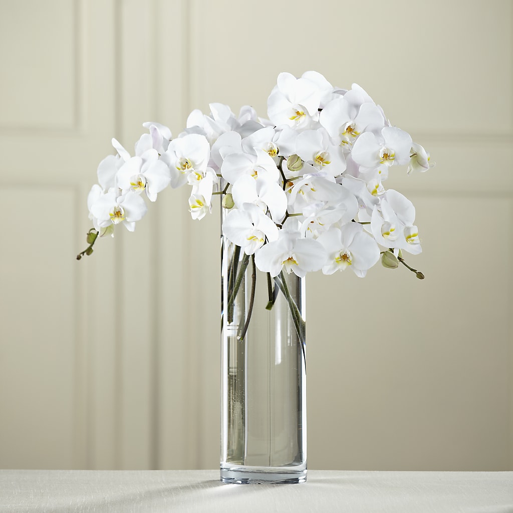 White Phalaenopsis Bouquet – Two Flower Girls, Skokie IL