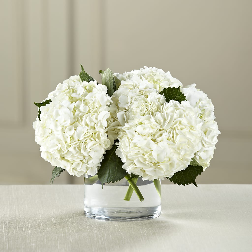 White Hydrangea Bouquet – Two Flower Girls, Skokie IL