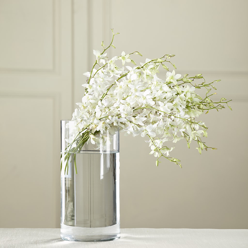 White Dendrobium Bouquet – Two Flower Girls, Skokie IL