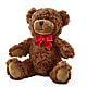 Adorable Plush Bear –  Two Flower Girls, Skokie IL