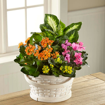 Color Crush Dishgarden –  Two Flower Girls, Skokie IL
