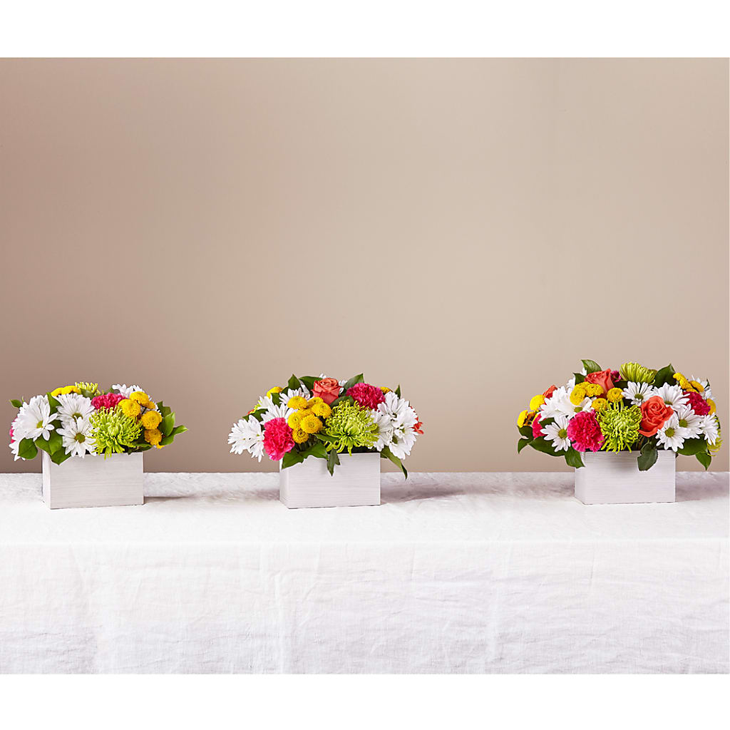 Sorbet Bouquet –  Two Flower Girls, Skokie IL