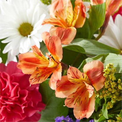 Oopsie Daisy Box Bouquet –  Two Flower Girls, Skokie IL