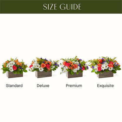Oopsie Daisy Box Bouquet –  Two Flower Girls, Skokie IL