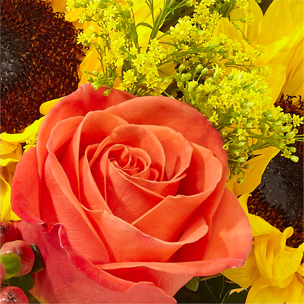 Pick of the Patch Pumpkin Bouquet –  Two Flower Girls, Skokie IL