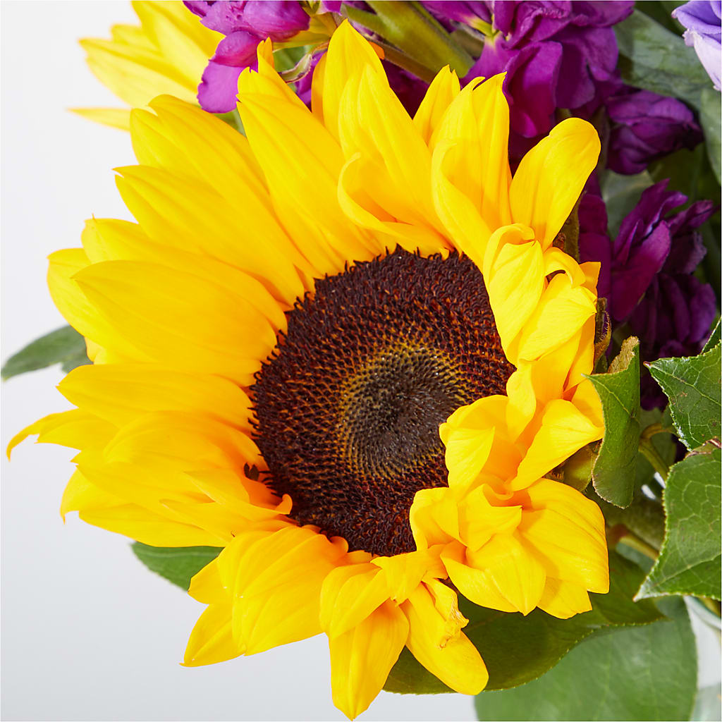 Catching Rays Bouquet –  Two Flower Girls, Skokie IL
