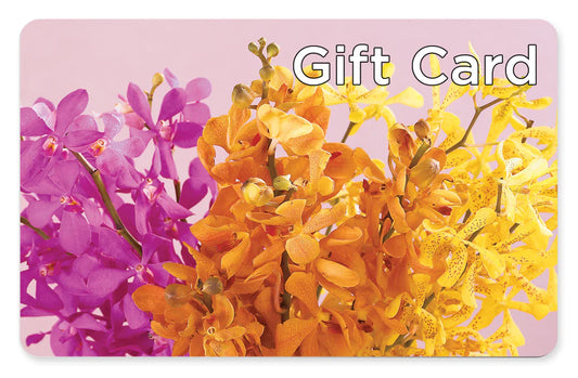 Gift Card –  Two Flower Girls, Skokie IL