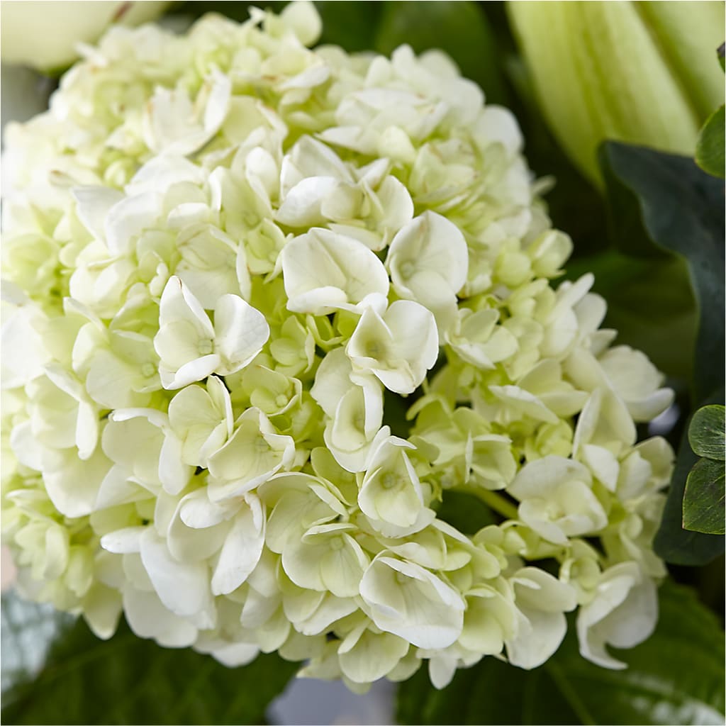 Classic Ivory – A Florist Original –  Two Flower Girls, Skokie IL