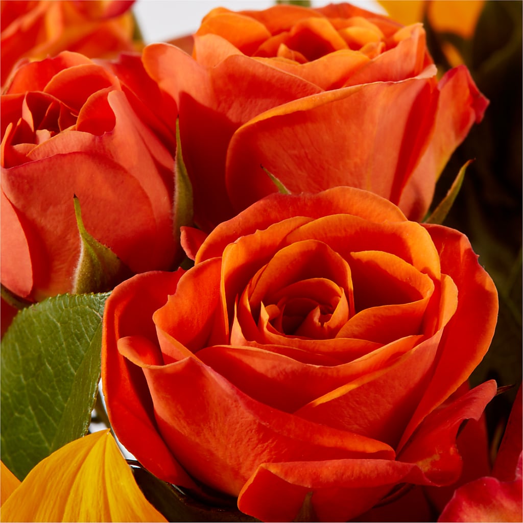 Picnic in the Park Bouquet –  Two Flower Girls, Skokie IL