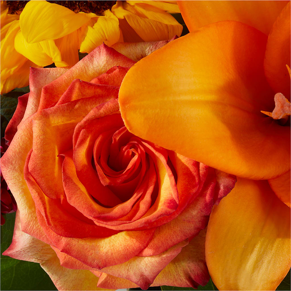 Grateful Centerpiece –  Two Flower Girls, Skokie IL