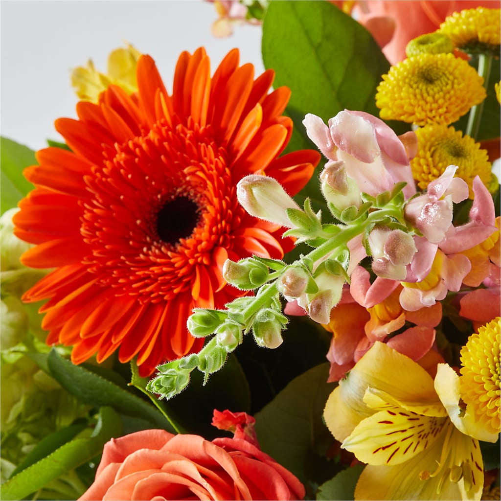 Autumn Sunshine Bouquet –  Two Flower Girls, Skokie IL