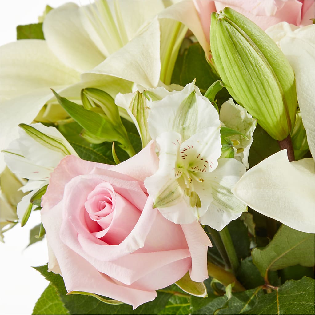 Kindhearted Bouquet –  Two Flower Girls, Skokie IL