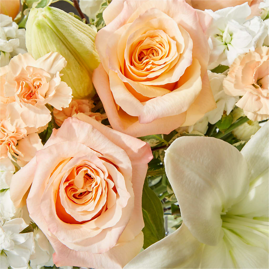 Darling Bouquet –  Two Flower Girls, Skokie IL