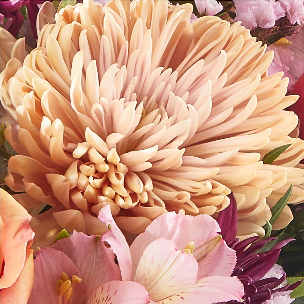 Berry Cobbler Bouquet –  Two Flower Girls, Skokie IL