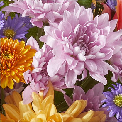 Countryside Bouquet –  Two Flower Girls, Skokie IL