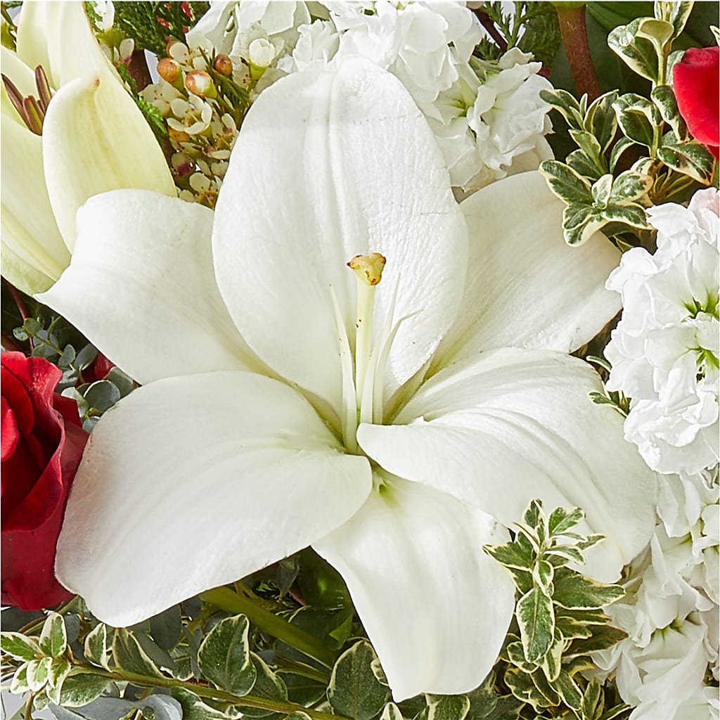 Twinkle Lights Bouquet –  Two Flower Girls, Skokie IL