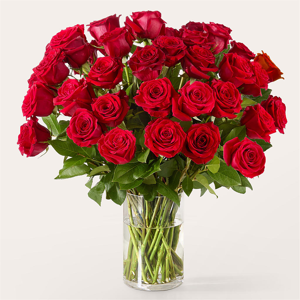 The One Red Rose Bouquet –  Two Flower Girls, Skokie IL