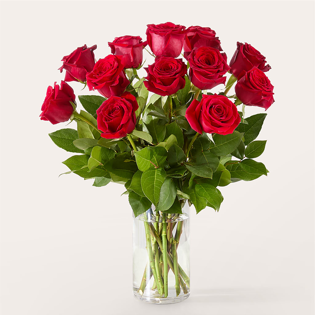 The One Red Rose Bouquet –  Two Flower Girls, Skokie IL