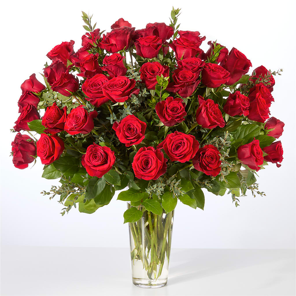 Forever Yours Fifty Stem Red Rose Bouquet –  Two Flower Girls, Skokie IL