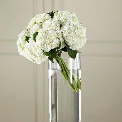 White Hydrangea Hand-Tied Bouquet –  Two Flower Girls, Skokie IL