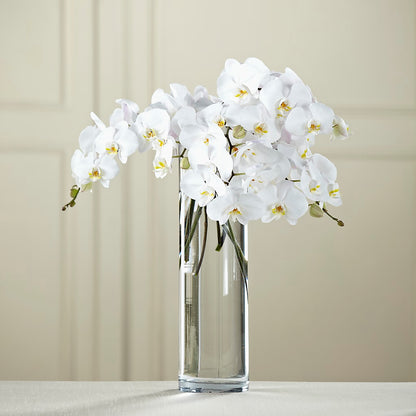 White Phalaenopsis Bouquet –  Two Flower Girls, Skokie IL