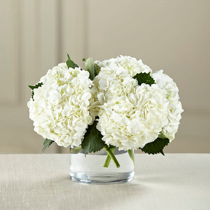 White Hydrangea Bouquet –  Two Flower Girls, Skokie IL